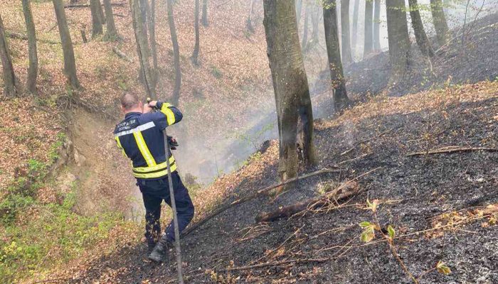 Požar u Dugom Dijelu brzo stavljen pod kontrolu, još jedno upozorenje na opasnosti paljenja vatre na otvorenom (FOTO)