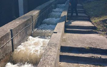 Pobjeda upornosti nad nemarom: Otvorena riblja staza na HE Mali Zvornik