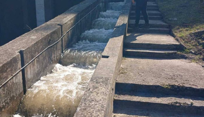 Pobjeda upornosti nad nemarom: Otvorena riblja staza na HE Mali Zvornik