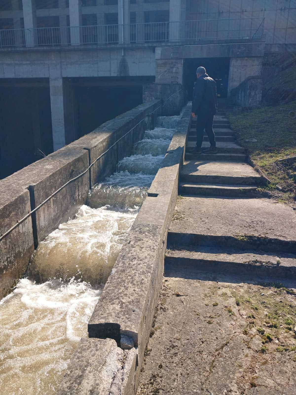 Pobjeda upornosti nad nemarom: Otvorena riblja staza na HE Mali Zvornik