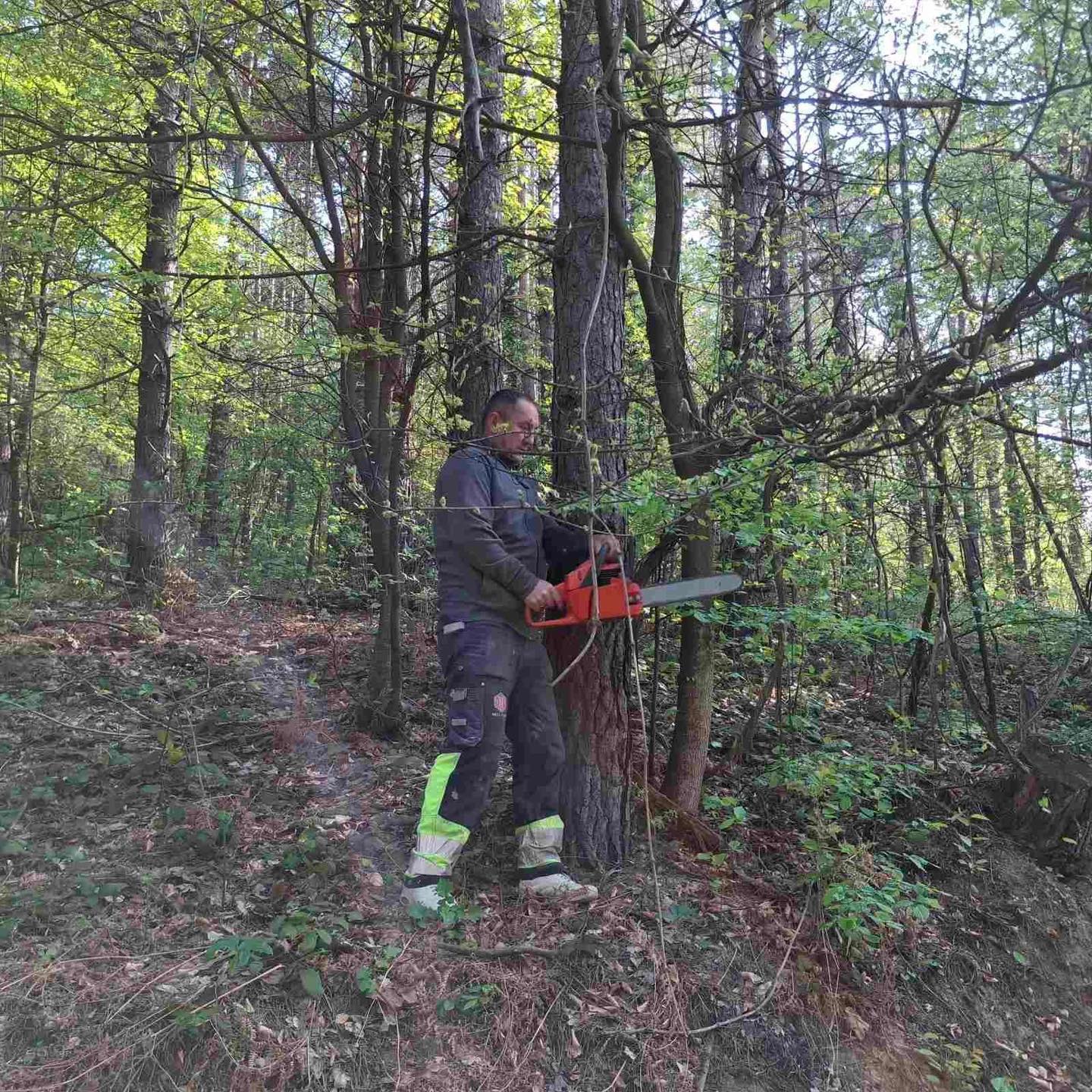 Zvornik u znaku eko akcija, protekli vikend u Kamenici uklonjene divlje deponije i 30 tona smeća pored puta (FOTO+VIDEO)