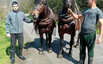 Mladi Hajrudin i njegov prijatelj Željko spremni za nove izazove na štraparijadama (FOTO)