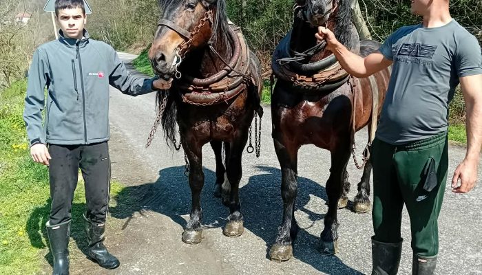 Mladi Hajrudin i njegov prijatelj Željko spremni za nove izazove na štraparijadama (FOTO)