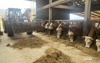 Ristanovići iz Malešića kod Zvornika uložili u farmu više od pola miliona KM: Dnevno će proizvoditi 500 litara mlijeka (FOTO)