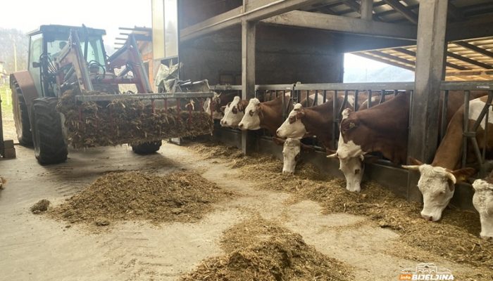 Ristanovići iz Malešića kod Zvornika uložili u farmu više od pola miliona KM: Dnevno će proizvoditi 500 litara mlijeka (FOTO)
