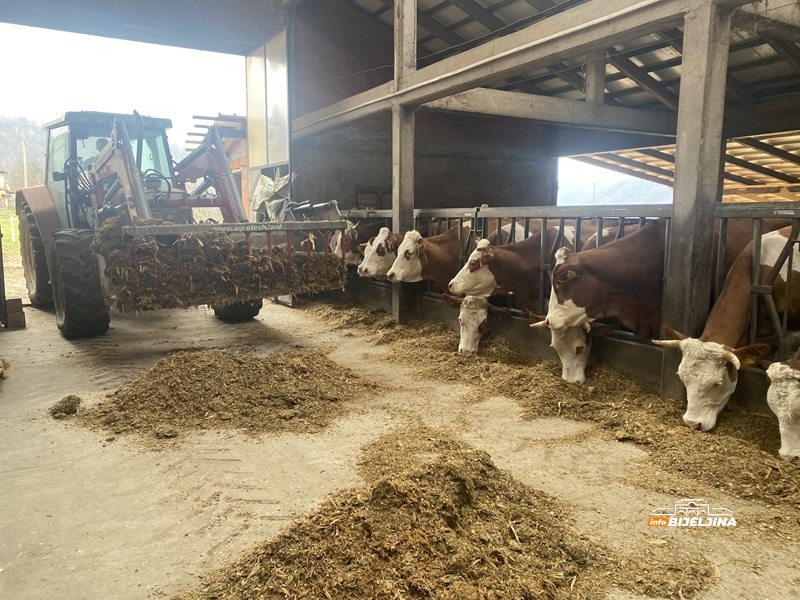 Ristanovići iz Malešića kod Zvornika uložili u farmu više od pola miliona KM: Dnevno će proizvoditi 500 litara mlijeka (FOTO)