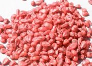 Inspekcija otkrila nepravilnosti, sjeme kukuruza vraćeno sa granice BiH