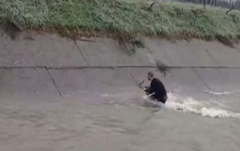 Mladi Podrinjac skočio u nabujalu rijeku kako bi spasio srnu (VIDEO)