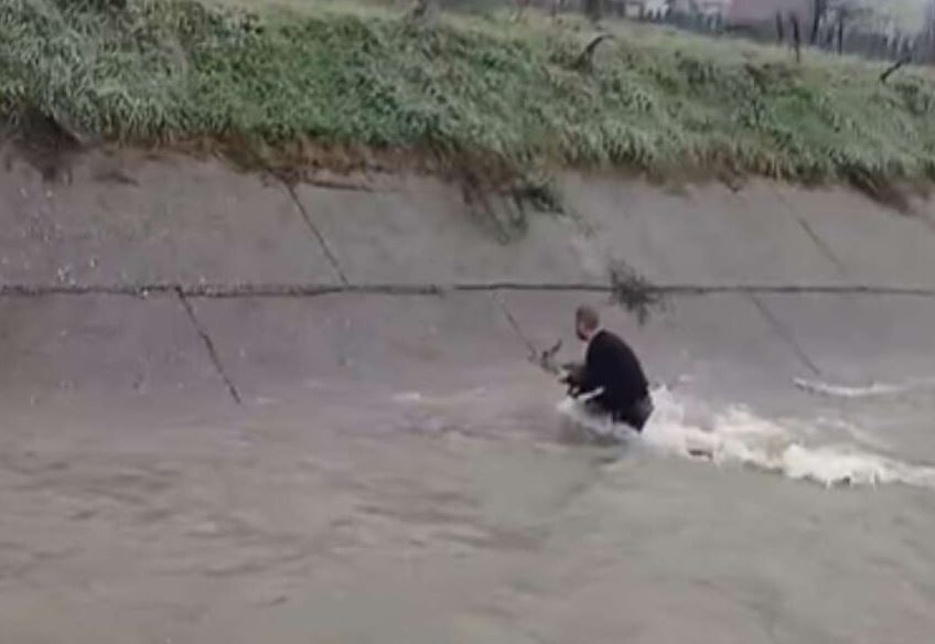 Mladi Podrinjac skočio u nabujalu rijeku kako bi spasio srnu (VIDEO)
