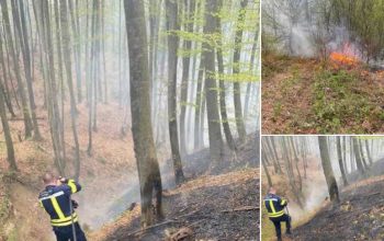 Požar u Dugom Dijelu brzo stavljen pod kontrolu, još jedno upozorenje na opasnosti paljenja vatre na otvorenom (FOTO)
