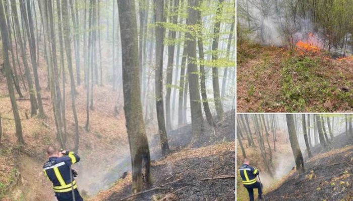 Požar u Dugom Dijelu brzo stavljen pod kontrolu, još jedno upozorenje na opasnosti paljenja vatre na otvorenom (FOTO)