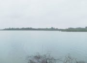 Investiciona prilika: Ribnjak „Saničani“ na tržištu za 3,8 miliona KM