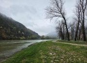 Sutra orezivanje stabala na gradskoj plaži