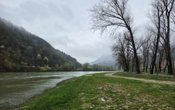 Sutra orezivanje stabala na gradskoj plaži