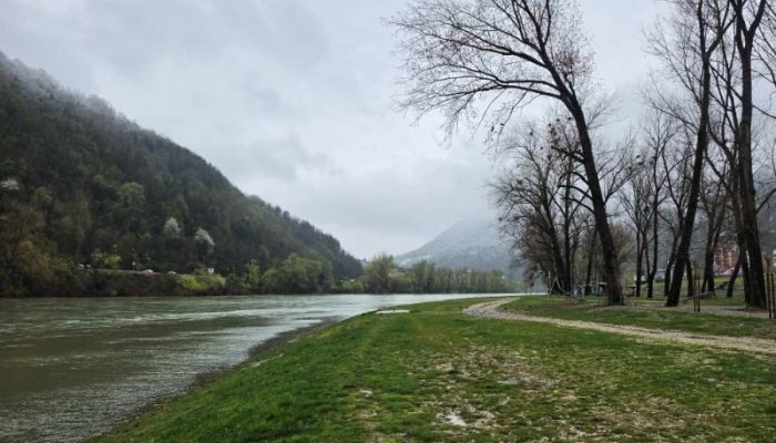 Sutra orezivanje stabala na gradskoj plaži
