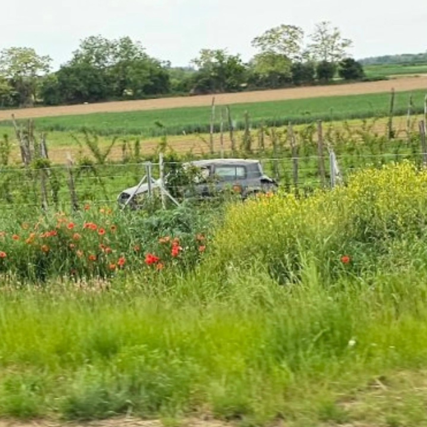 Automobili pored puta na brzoj saobraćajnici Šabac – Loznica, vozačima upućen apel na oprez (FOTO)