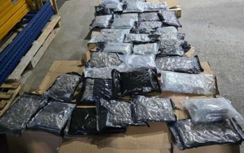 SIPA pretresala i u Zvorniku: Uhapšeno 9 osoba, otkriveno 40 kg droge koja je prevezena iz luke Ploče u BiH