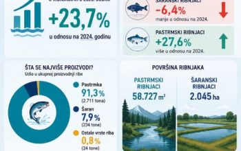 Proizvodnja ribe na domaćem tržištu u porastu: Ova vrsta dominira