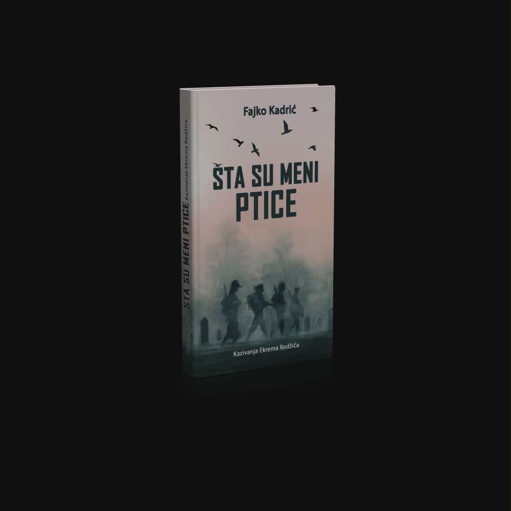 Šta su meni ptice