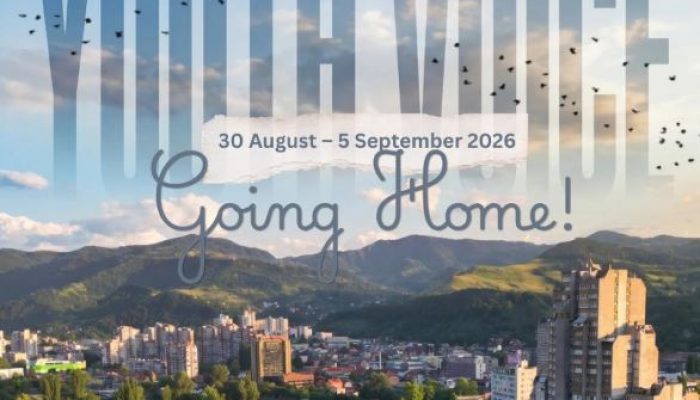 Mladi iz dijaspore i Bosne i Hercegovine zajedno grade mostove budućnosti: Otvoren poziv za program „Youth Voice: Going Home!“
