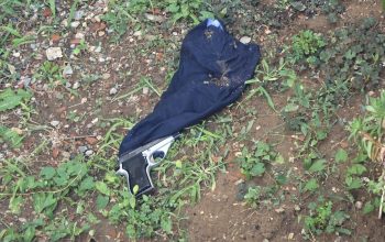 Policija u Malom Zvorniku uhapsila četiri osobe zbog posjedovanja oružja