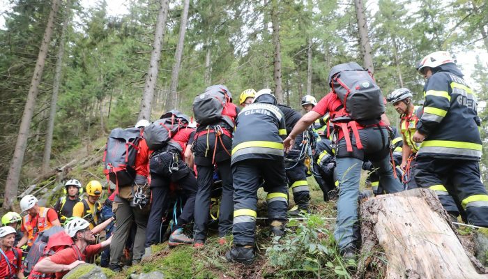 Na radnika iz Križevića kod Zvornika obrušila se stijena u austrijskoj šumi, helikopterom je prevezen u bolnicu (FOTO)
