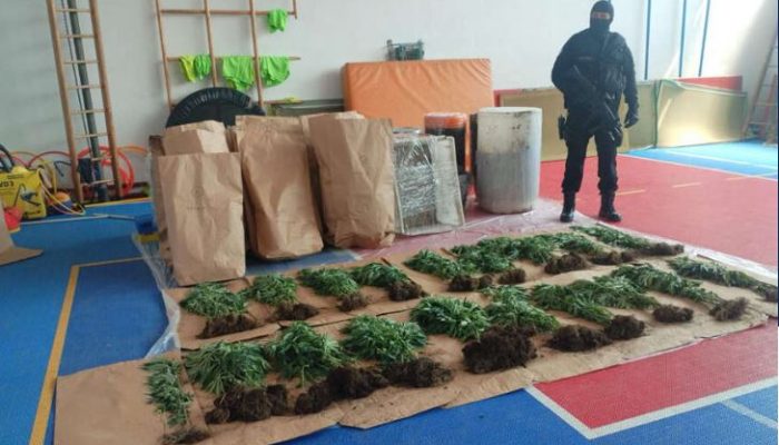 Policija otkrila plantažu sa 206 stabljika indijske konoplje i kokain, uhapšena jedna osoba (FOTO)