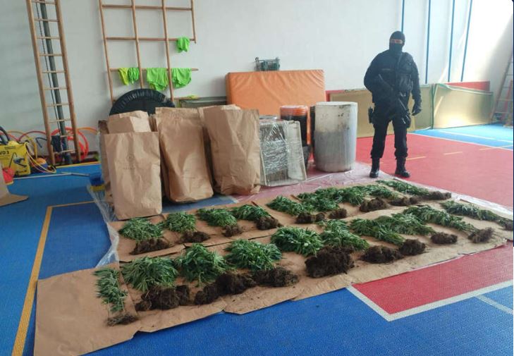 Policija otkrila plantažu sa 206 stabljika indijske konoplje i kokain, uhapšena jedna osoba (FOTO)
