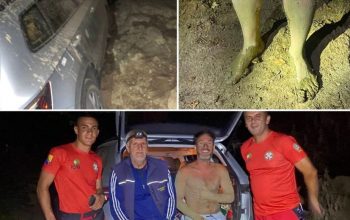 Noćna akcija kod Kladnja: Pronađen Italijan koji je autom zaglavio u šumi (FOTO)