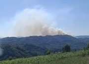 Požar iz Snagova proširio se prema Kamenci, vatra se spušta prema kućama (FOTO)