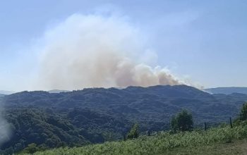 Požar iz Snagova proširio se prema Kamenci, vatra se spušta prema kućama (FOTO)