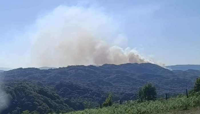 Požar iz Snagova proširio se prema Kamenci, vatra se spušta prema kućama (FOTO)