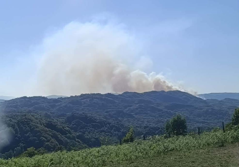 Požar iz Snagova proširio se prema Kamenci, vatra se spušta prema kućama (FOTO)