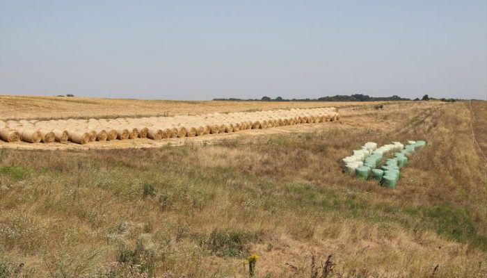 Apel korisnicima lovišta zbog dugotrajne suše i visokih temperatura