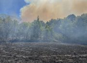 Vatrogasci i jutros na terenu u Kamenci, vatra se spušta prema kućama