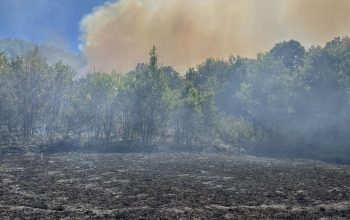 Vatrogasci i jutros na terenu u Kamenci, vatra se spušta prema kućama