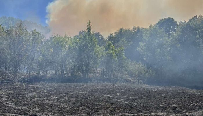 Vatrogasci i jutros na terenu u Kamenci, vatra se spušta prema kućama