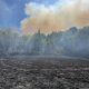 Vatrogasci i jutros na terenu u Kamenci, vatra se spušta prema kućama