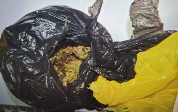 Pronađeno više od 46 grama marihuane, uhapšena jedna osoba (FOTO)