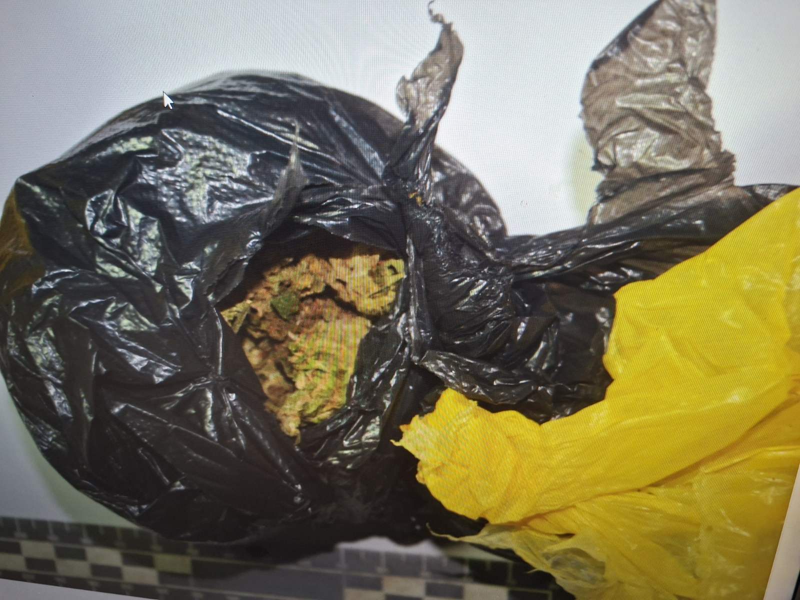 Pronađeno više od 46 grama marihuane, uhapšena jedna osoba (FOTO)