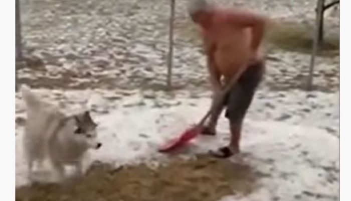 Nevjerovatne scene iz BiH: Led sklanjali lopatama (VIDEO)