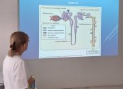 Stručno usavršavanje u JZU Dom zdravlja Zvornik – ulaganje u kvalitet zdravstvene zaštite
