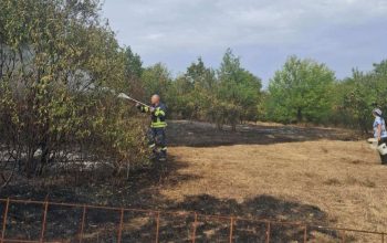 Dva požara na području Zvornika: Vatra prijetila kućama i voćnjaku, pričinjena i šteta (FOTO)