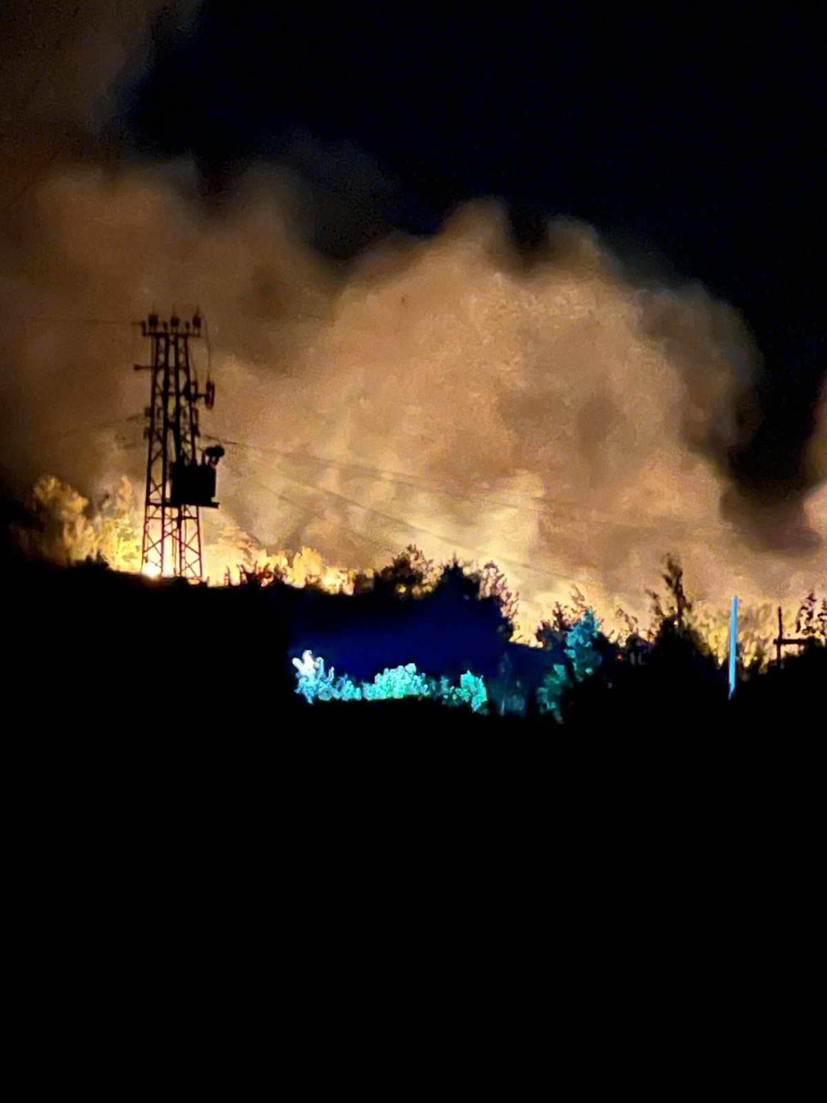 Požar u Liješnju, vatrogasci na terenu