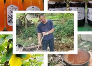Porodična priča iz Kamenice: Hrnjići čuvaju tradiciju pripreme domaće zimnice