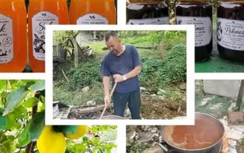 Porodična priča iz Kamenice: Hrnjići čuvaju tradiciju pripreme domaće zimnice